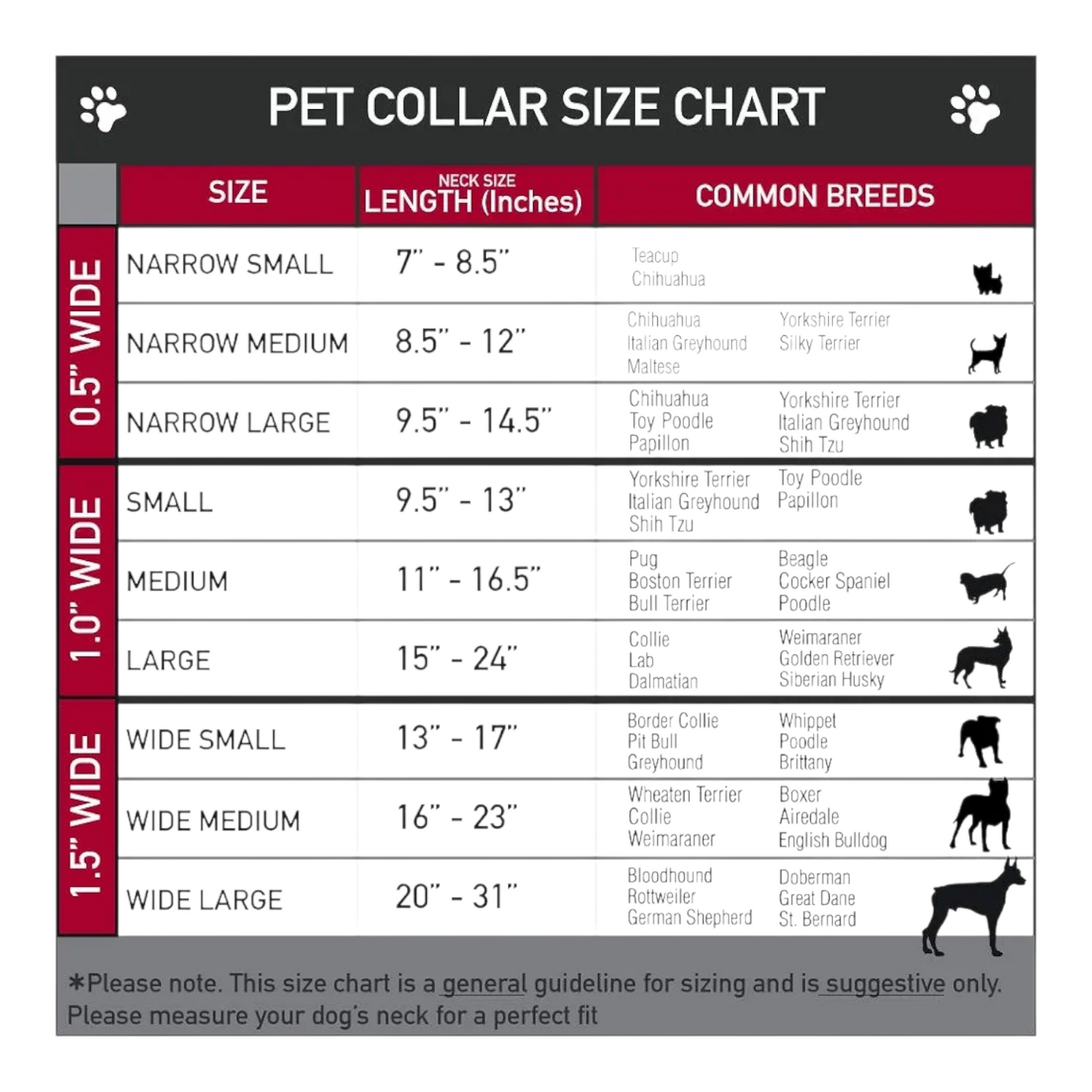 Collar y Correa Para Mascota Barbie Buckle Down Mediano