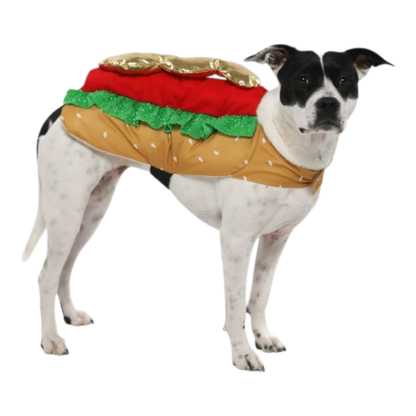 Disfraz para Mascota Gato/Perro 🐕🐩🐈🐈⬛ Hot Dog