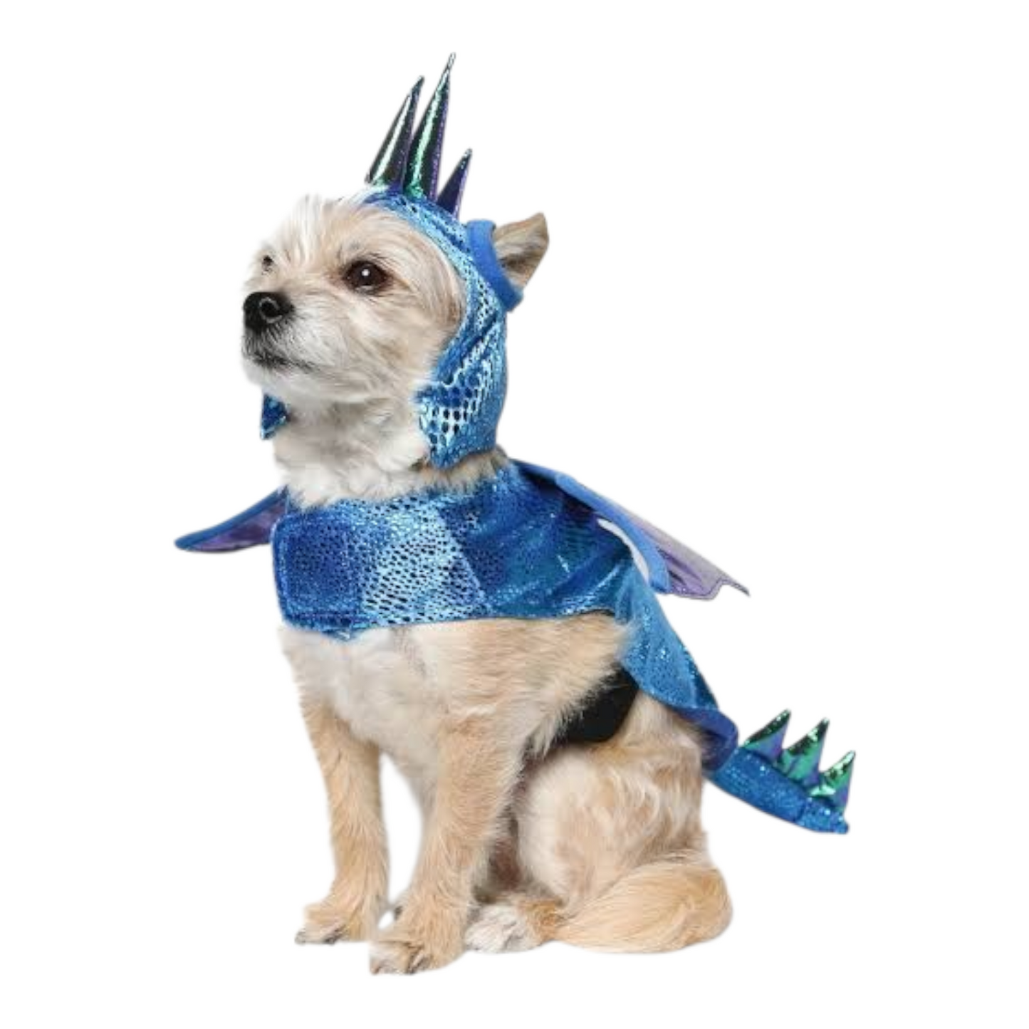 Disfraz para Mascota Gato/Perro 🐕🐩🐈🐈⬛ Dragon