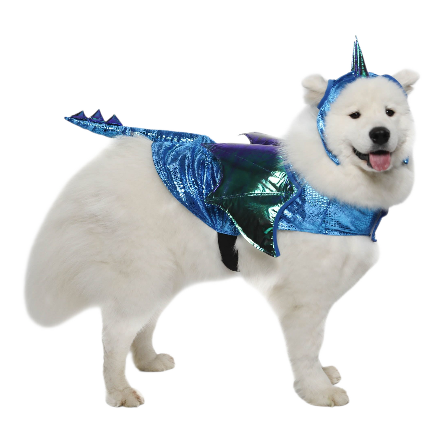 Disfraz para Mascota Gato/Perro 🐕🐩🐈🐈⬛ Dragon