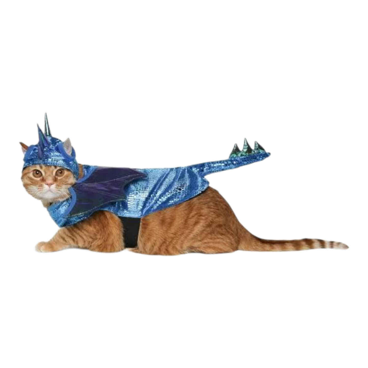 Disfraz para Mascota Gato/Perro 🐕🐩🐈🐈⬛ Dragon
