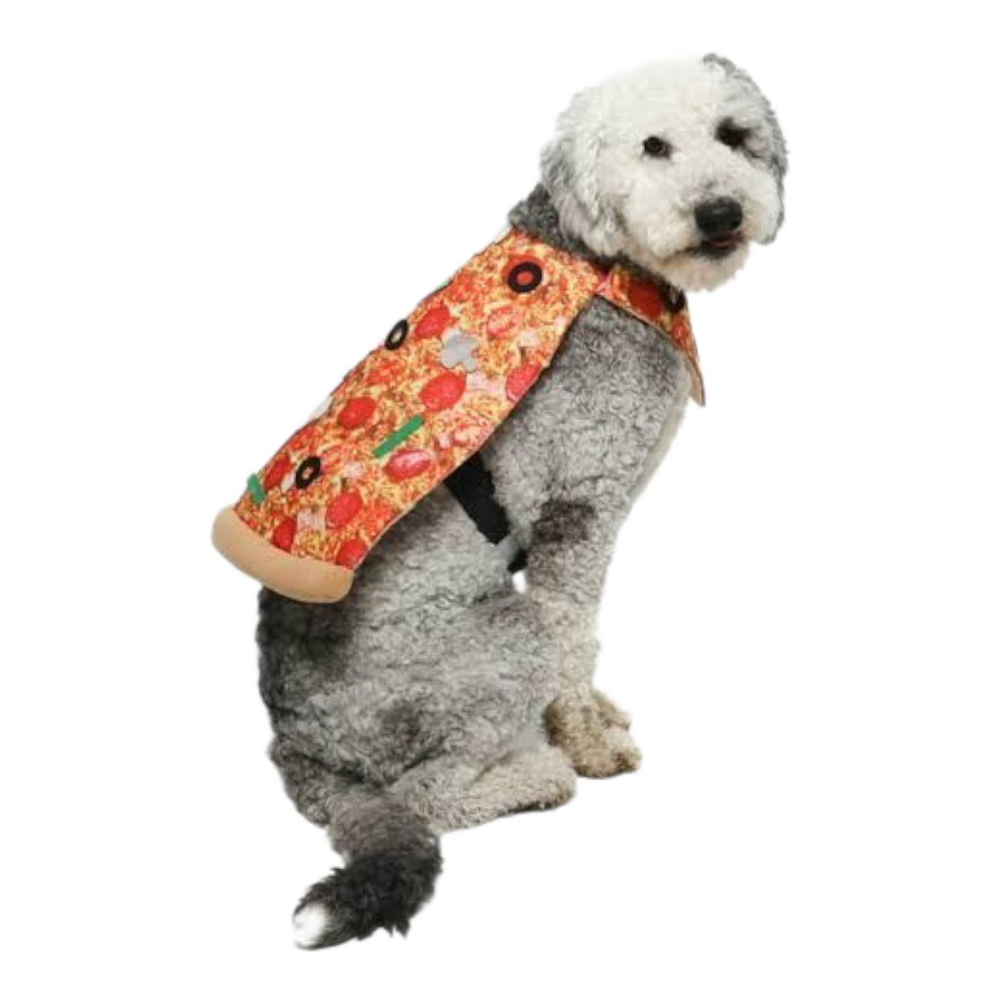 Disfraz para Mascota Gato/Perro 🐕🐩🐈🐈⬛ Pizza