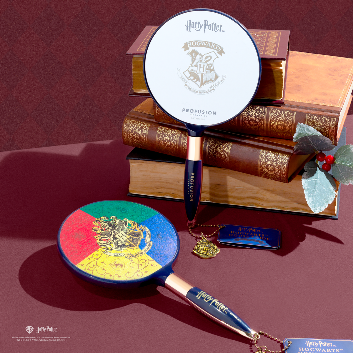Harry Potter Holiday House Pride lifestyle