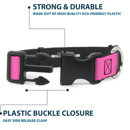 Collar y Correa Para Mascota Barbie Buckle Down Mediano