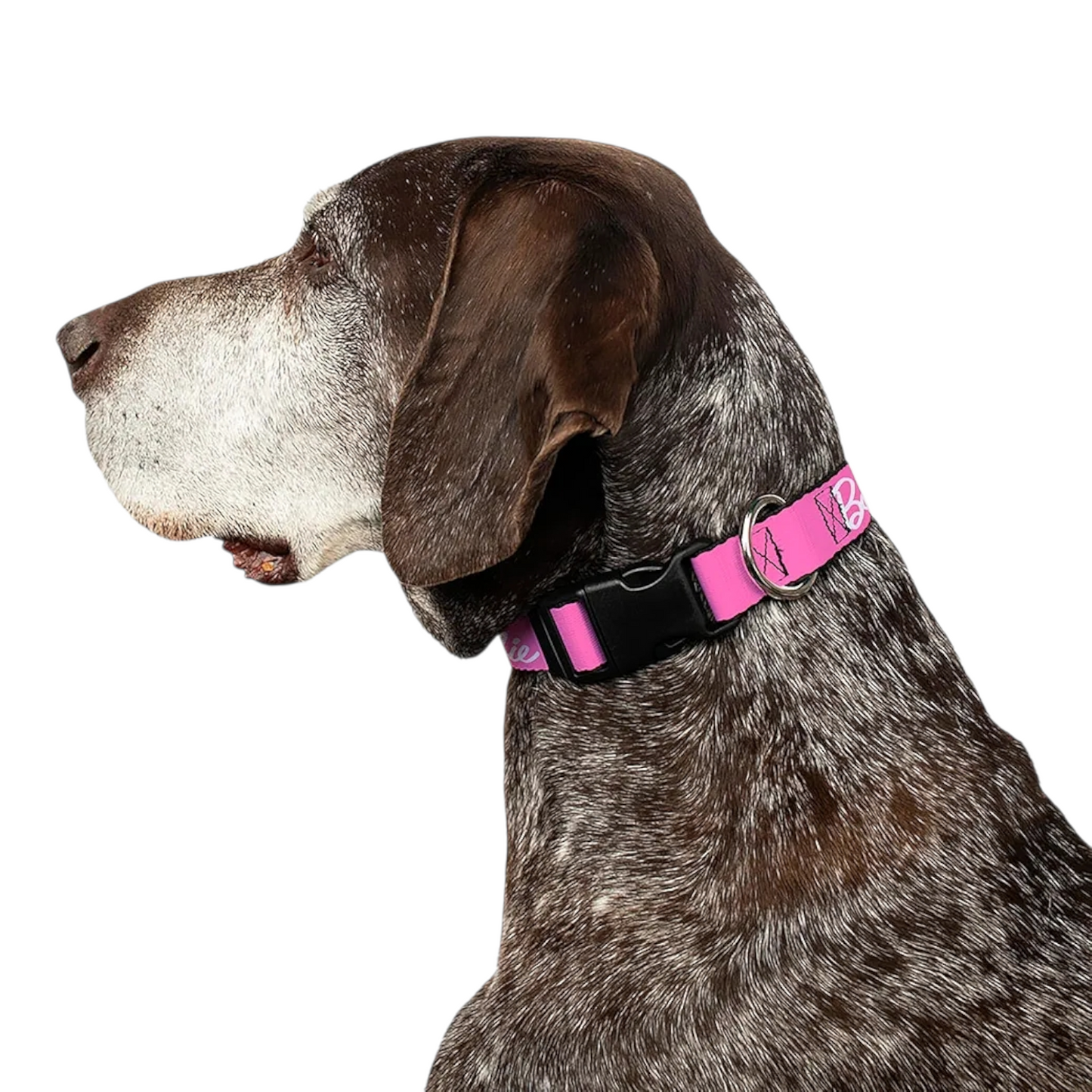 Collar y Correa Para Mascota Barbie Buckle Down Mediano
