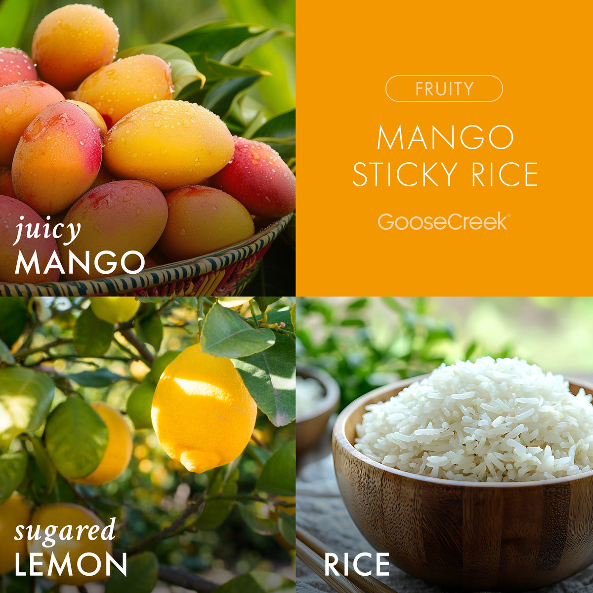 Goose Creek Mango Sticky Rice - aroma