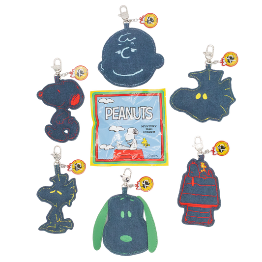 Charm blind bag cada uno Sorpresa Snoopy Peanuts Whatever makes you happy