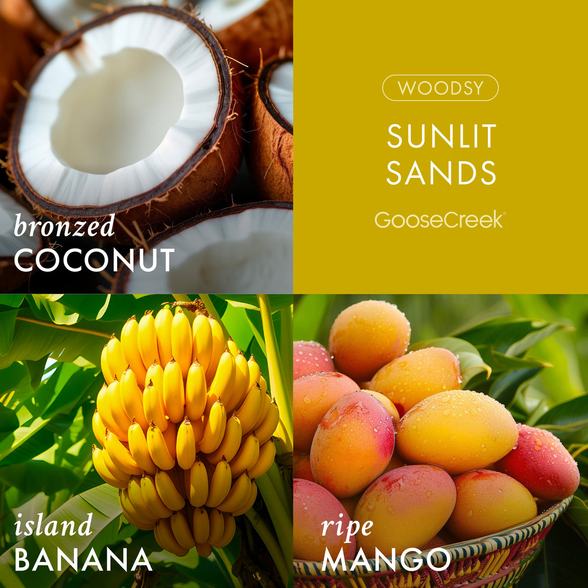 Goose Creek Sunlit Sands - aroma